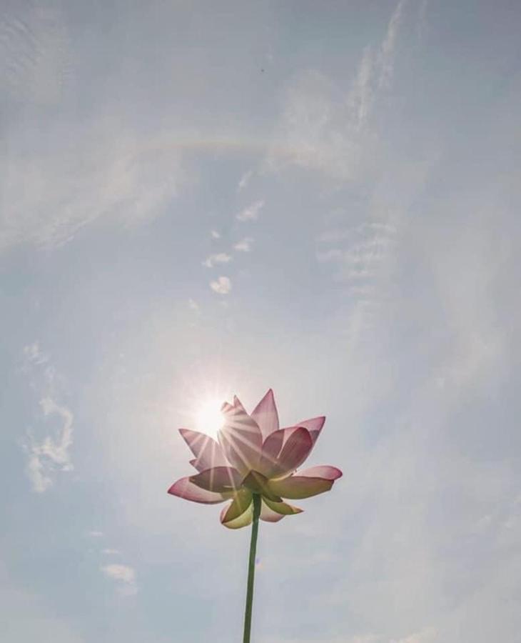 Khach San Flower Sky Nha Trang Exteriér fotografie